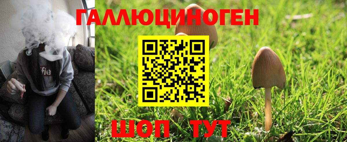 хочу   Галлюциногенные грибы Magic Shrooms  Вход с VPN  Петропавловск-Камчатский 